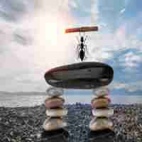 高​级‍技‌术​前﻿沿​平‍台​